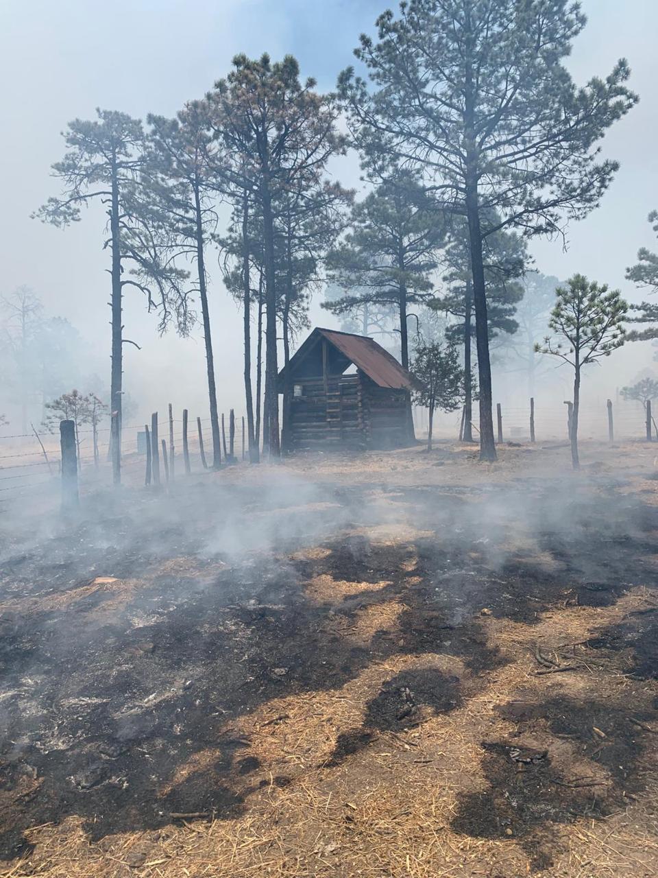 Avanza control de incendio forestal en comunidad Lobos y Pescaderos, Tepehuanes.